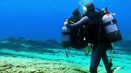 Su Altında Evlilik Teklifi