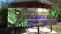 Un jardin de collection de parfums médicinaux sera créé à Bitlis