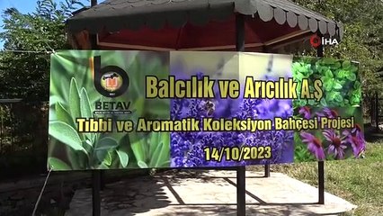 Un jardin de collection de parfums médicinaux sera créé à Bitlis