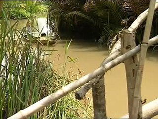 03.Đất Phương Nam - Tập 3 - Phim Hay Việt Nam 2023