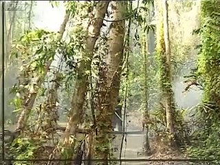 09.Đất Phương Nam - Tập 9 - Phim Hay Việt Nam 2023