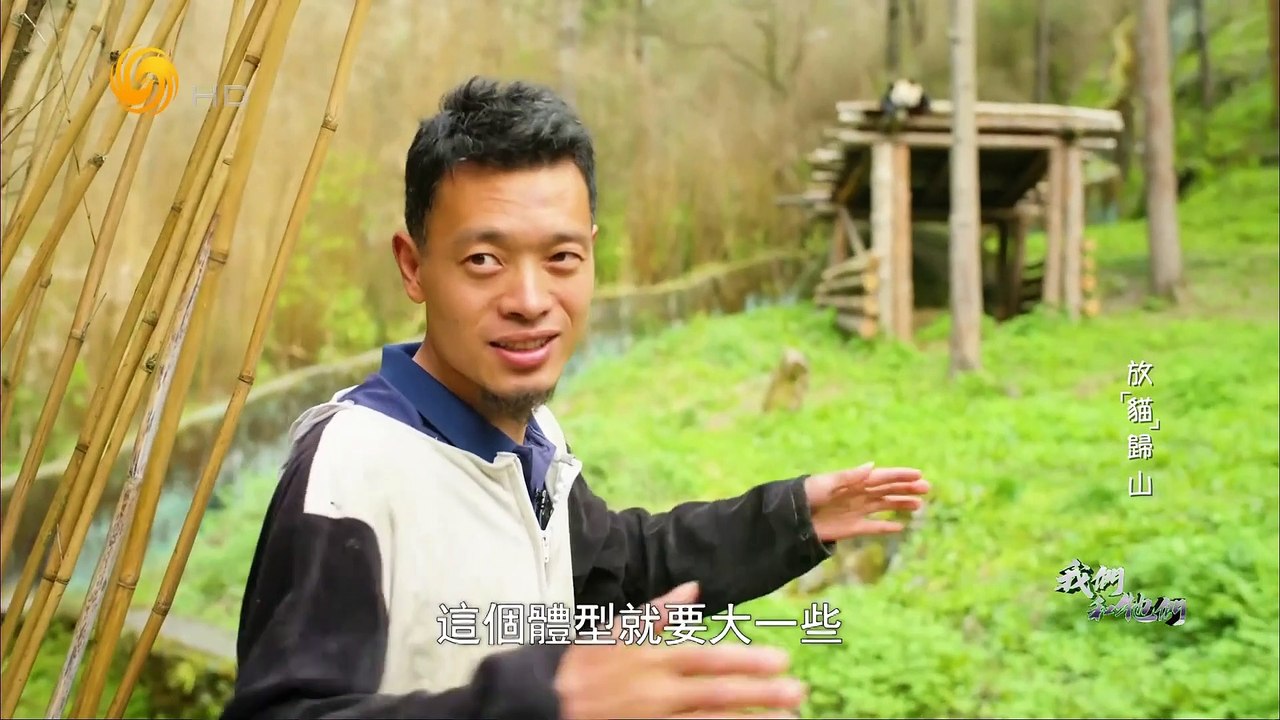 放猫归山我们和它们HD230513