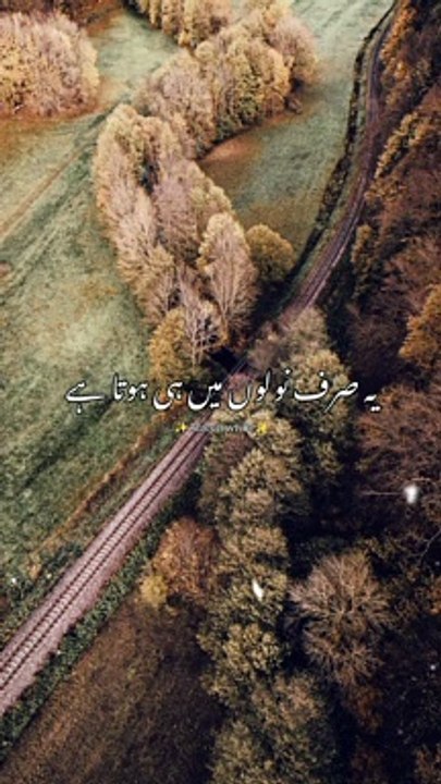 Haqiqi Zindagi ma muhabbatai aksar || love status