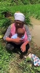 seorang wanita bercocok tanam padi