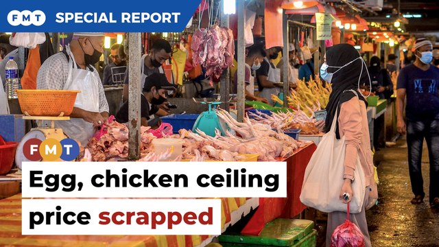 Industry player pleased with move to float chicken, egg prices