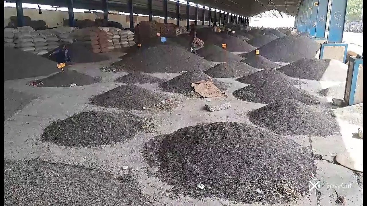 कृषि जिंसों सहित किराना व सर्राफा बाजार भाव