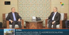 Iranian diplomat discusses Israel-Palestine conflict with Syrian counterpart