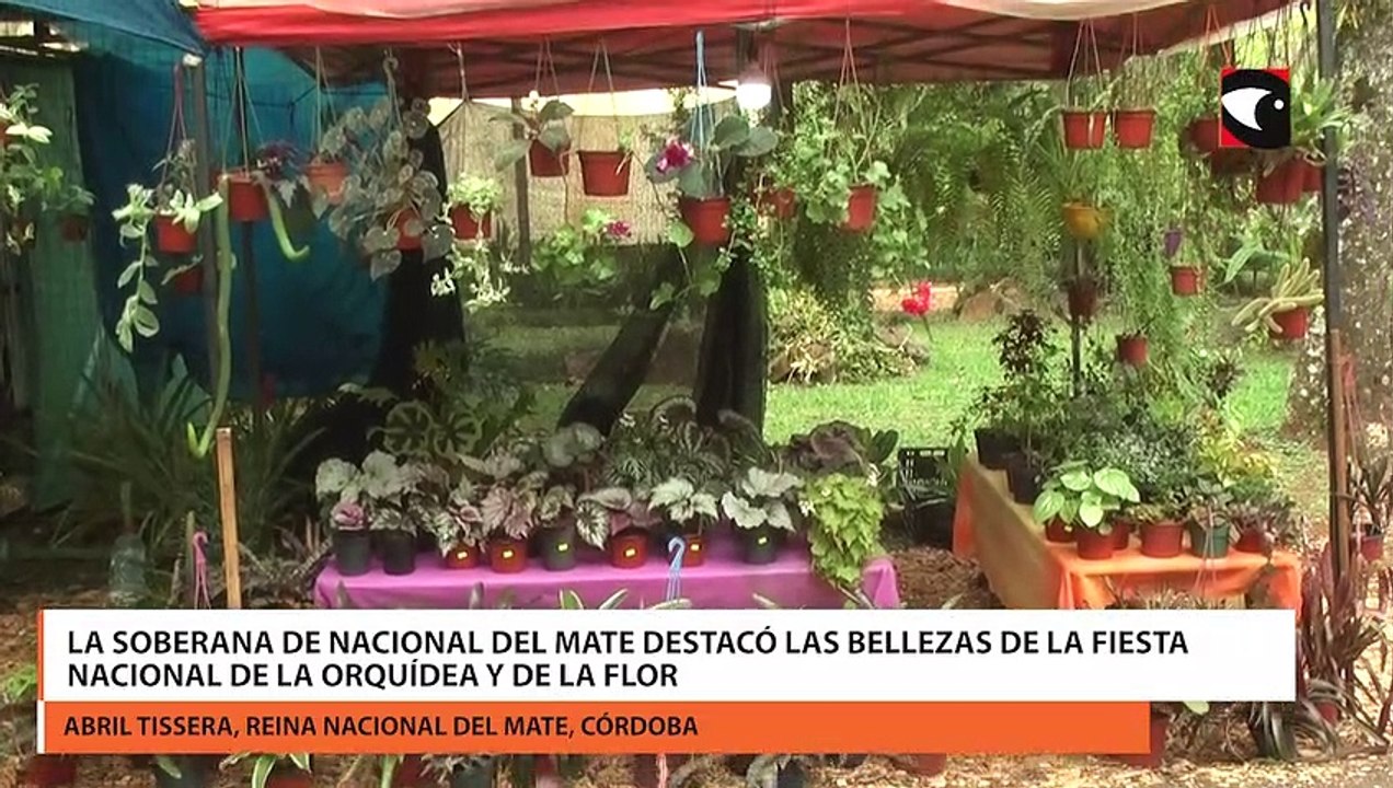 La Soberana De Nacional Del Mate Destacó Las Bellezas De La Fiesta Nacional De La Orquídea Y De 5995