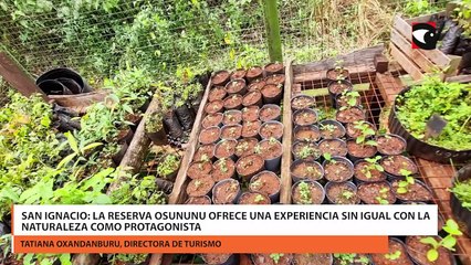 San Ignacio la reserva osununu ofrece una experiencia sin igual con la naturaleza como protagonista