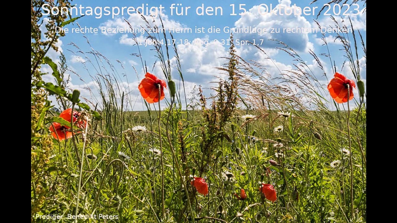 Sonntagspredigt für den 15. Oktober 2023