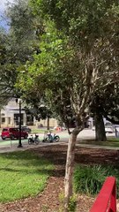 When You Only Want to Make One Trip