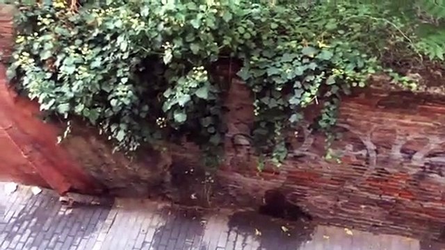 La pequeña calle que durante las noches de los fines de semana se convierte en un baño al aire libre