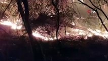 Un incendie de forêt s'est déclaré à la suite de la foudre à Marmaris
