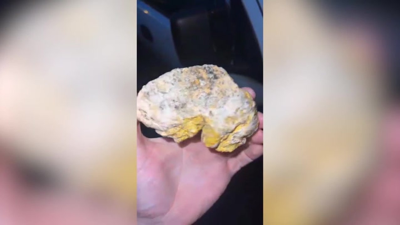 ‘Mysterious rock’ discovered by dog on Scottish beach is not what it seems - and it could be worth thousands