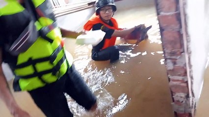 Trapped Dog Saved From Flood