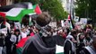 Crowds gather in Melbourne to protest Palestinian human rights