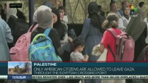 Civilians in Gaza forced to displace Due to Israel’s bombing
