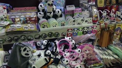 Panda Magic China's National Treasure