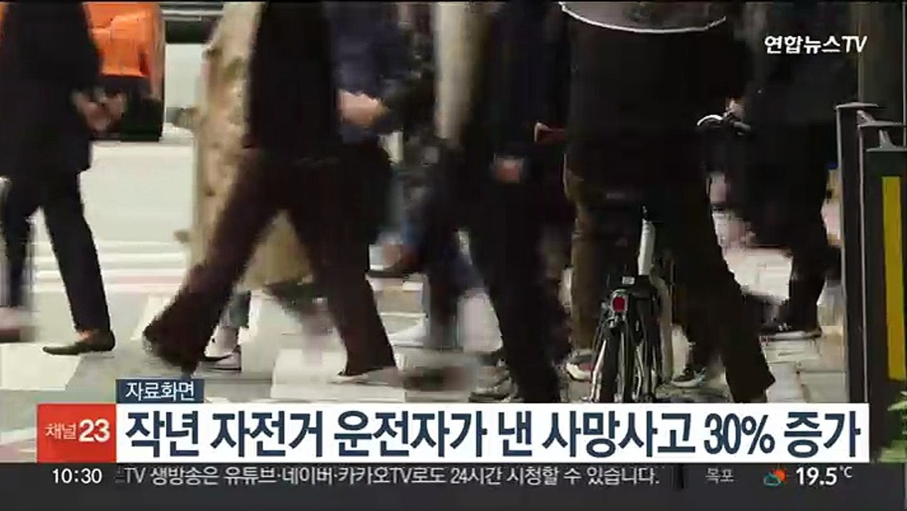 작년 자전거 운전자가 낸 사망사고, 전년 대비 30% 증가