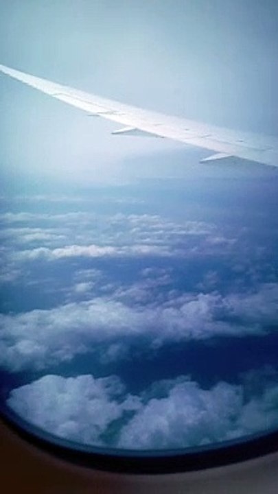 Fly to Future