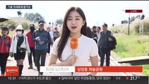 춤추는 은빛 물결…가을 정취 만끽 '서울억새축제'