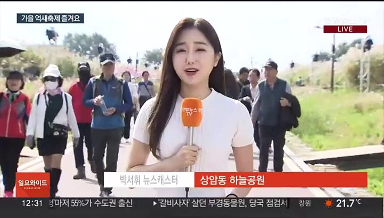 춤추는 은빛 물결…가을 정취 만끽 '서울억새축제'