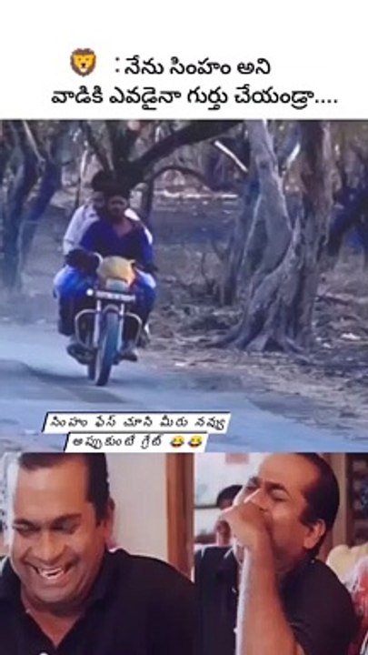 Funny Memes on Lion Face