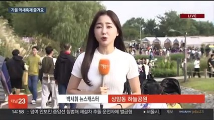춤추는 은빛 물결…가을 정취 만끽 '서울억새축제'
