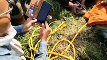 Video : नदी से निकल खेत में पहुंचा मगरमच्छ, मजदूरों में मचा हडक़ंप