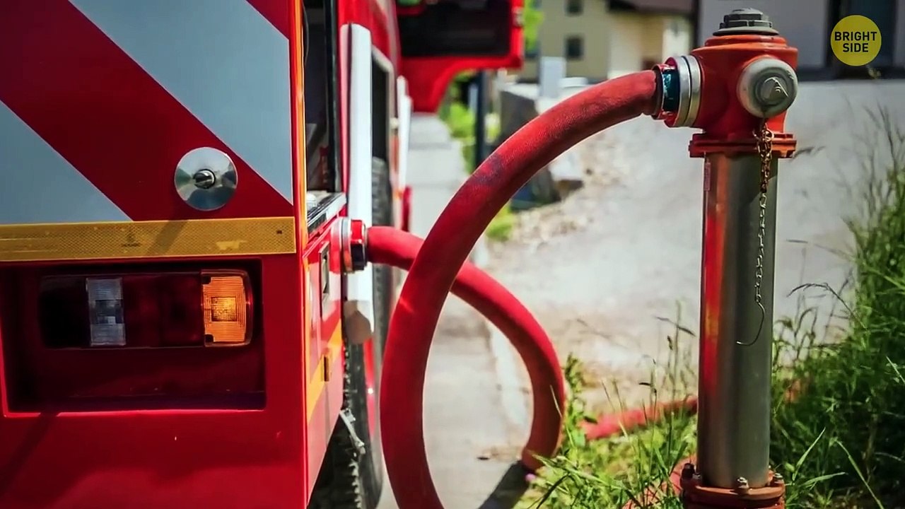 18 Facts About Everyday Things You Never Knew About