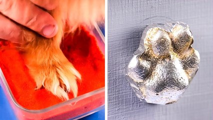 Ideas In Memory Of Beloved Pets They Will Always Be With Us