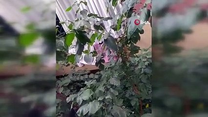 Yabancı uyruklu bir kişi evini ateşe verdi: 19 kişi mahsur kaldı