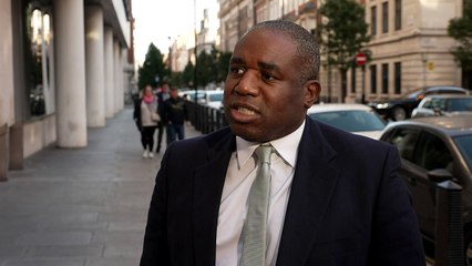 Shadow Foreign Sec: Choices confronting Israel are difficult