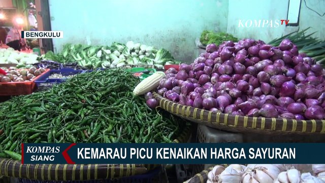 Pedagang di Bengkulu Keluhkan Kenaikan Harga Sayur-Sayuran, Diduga Karena Kemarau
