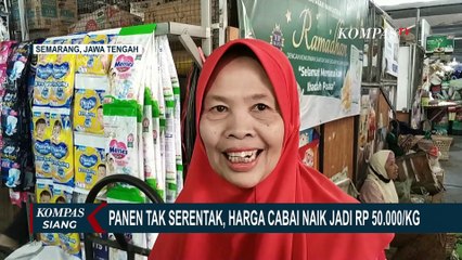 Alami Kenaikan, Harga Cabai di Semarang Sentuh Rp 50.000 per Kilogram!