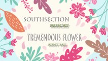 Tremendous Flower (Aunt Pat) - Southsection