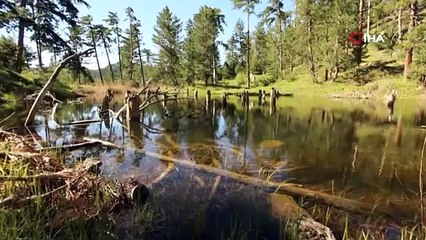 Çekimler 2 yıl sürdü! Afyonkarahisar hiç bu kadar güzel görüntülenmedi