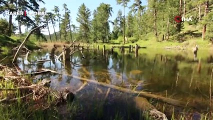 Afyonkarahisar'dan muhteşem manzaralar... 4 element üzerinden 4 mevsim anlatıldı