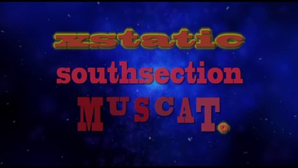 Xstatic (INSTRUMENTAL) - Southsection