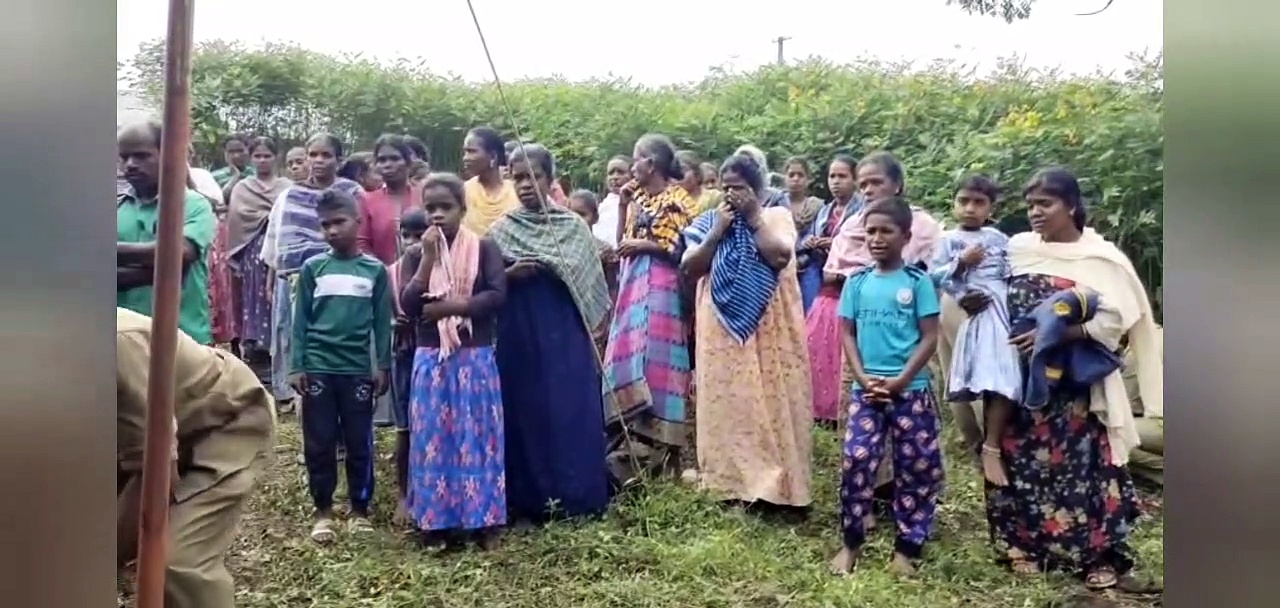 முதுமலை தெப்பக்காடு யானைகள் முகாமில் பராமரிக்கப்பட்டு வந்த மக்னா யானை உயிரிழப்பு.. பொதுமக்கள் கவலை