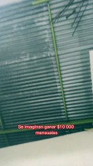 Soñaron ganar más de 10.000$ mensuales?