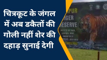 चित्रकूट के जंगल में अब डकैतों की गोली नहीं, शेर की सुनाई देगी दहाड़