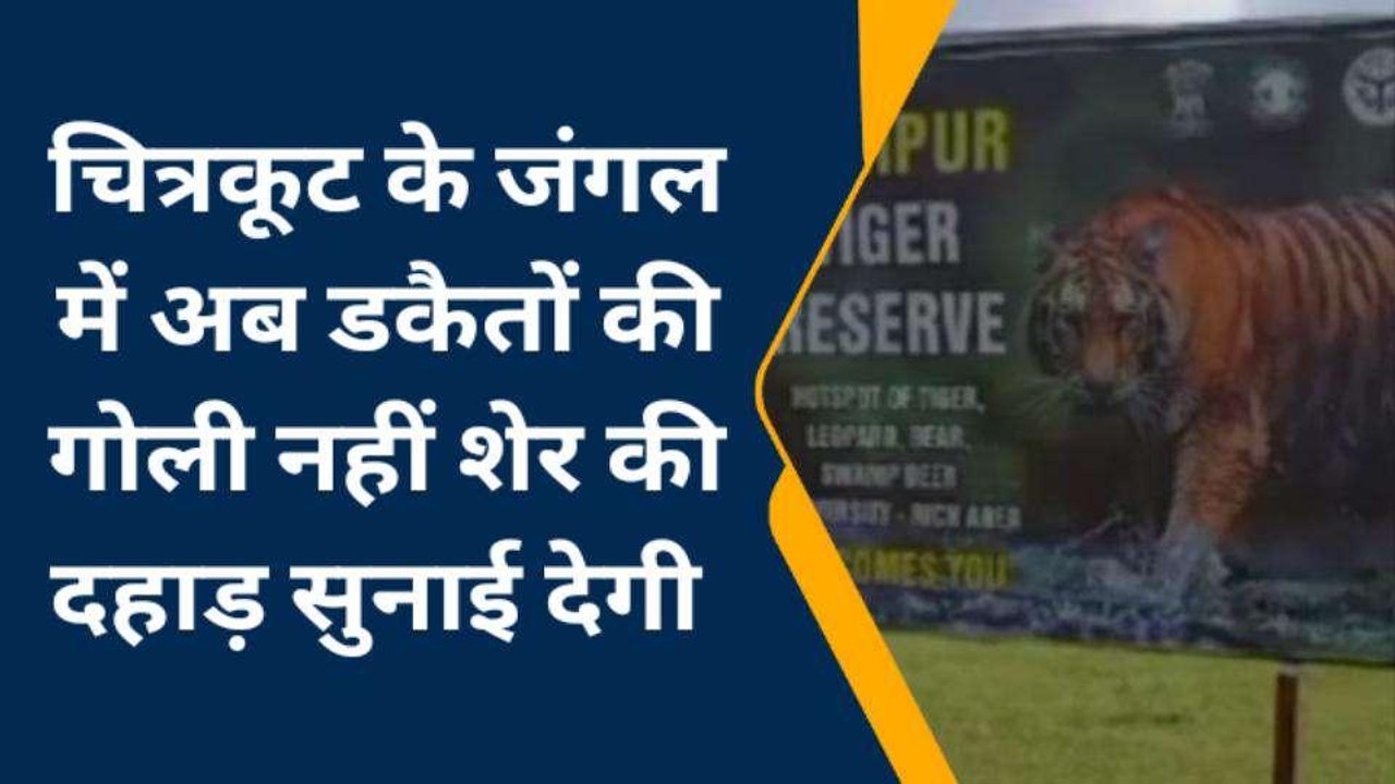 चित्रकूट के जंगल में अब डकैतों की गोली नहीं, शेर की सुनाई देगी दहाड़