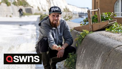 "I'm an urban forager - 50% of my food comes from the streets and I spend just £5-a-week at the supermarket"