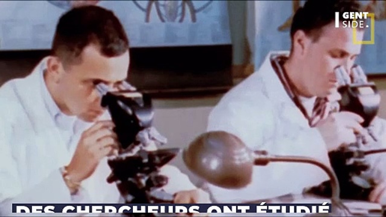 Le "long rhume" : Une forme cachée de maladie chronique vient d'être identifiée