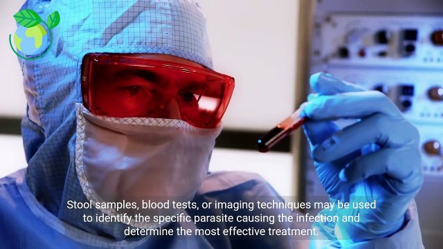 - Understanding Parasite Infections Causes, Symptoms, Treatment, and Prevention