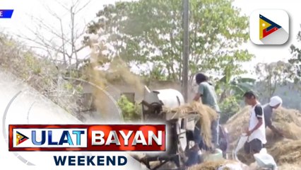 DA, tiwalang magiging sapat ang supply ng bigas sa 2024