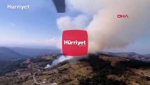 İzmir'in Karabağlar ilçesinde orman yangını