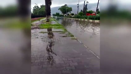 Hatay'da Sağanak Yağış: Yollar Göle Döndü, Ev ve İş Yerleri Su Bastı