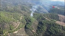 Aydın'ın Nazilli ilçesindeki orman yangını hızlı müdahale ile söndürüldü